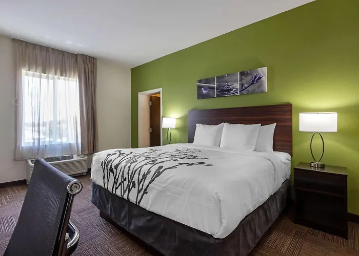 Sleep Inn & Suites Tampa South